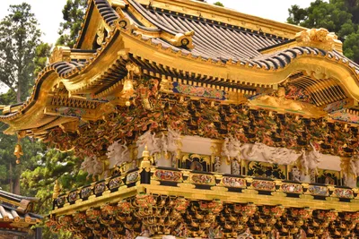 DSC_3874 (Large).JPG